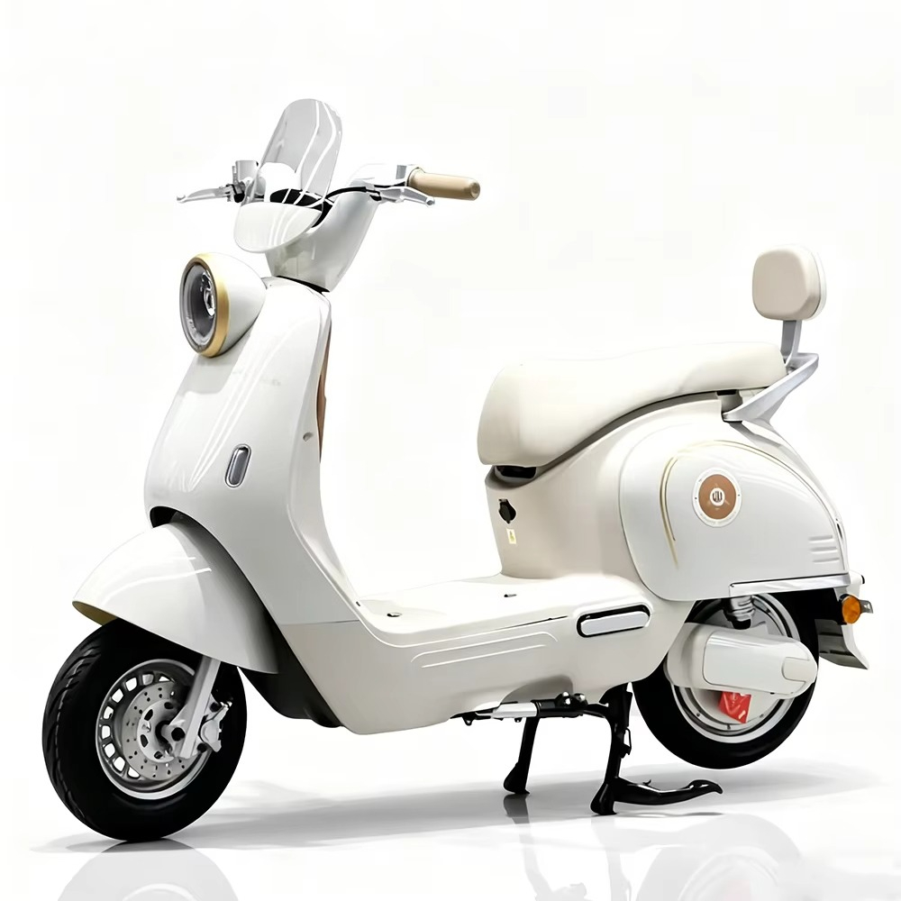EER 성인용 전기 오토바이, 디스크 브레이크 장착,  - Brake Disc Motorcycle 리뷰 및 가격